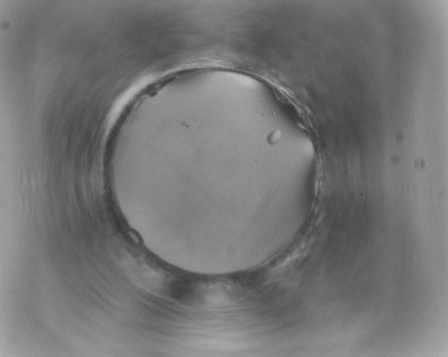 X0000074960200200609291921