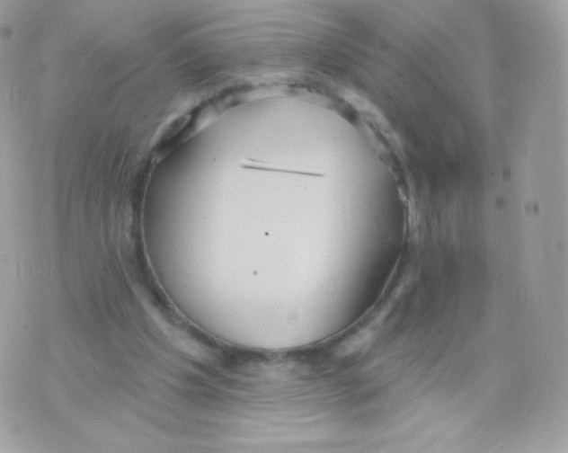 X0000074960201200609291921