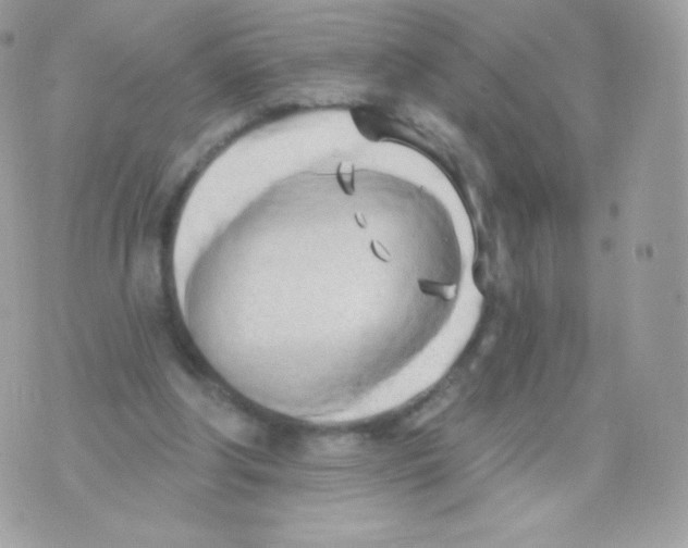 X0000074960202200609291921