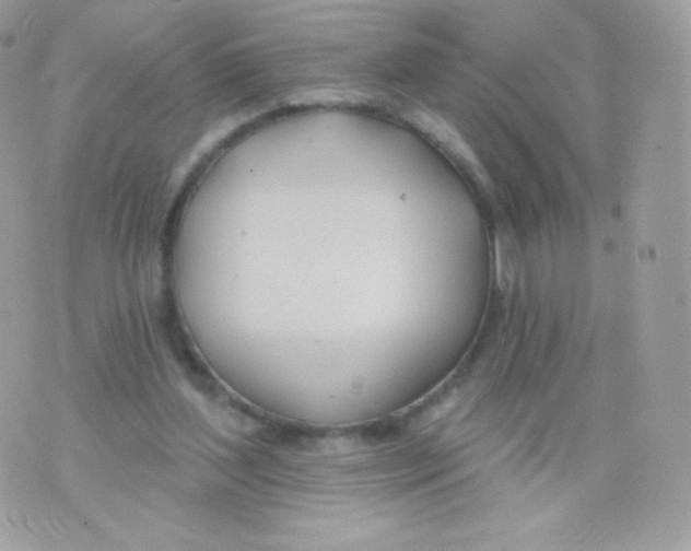 X0000074960204200609291921