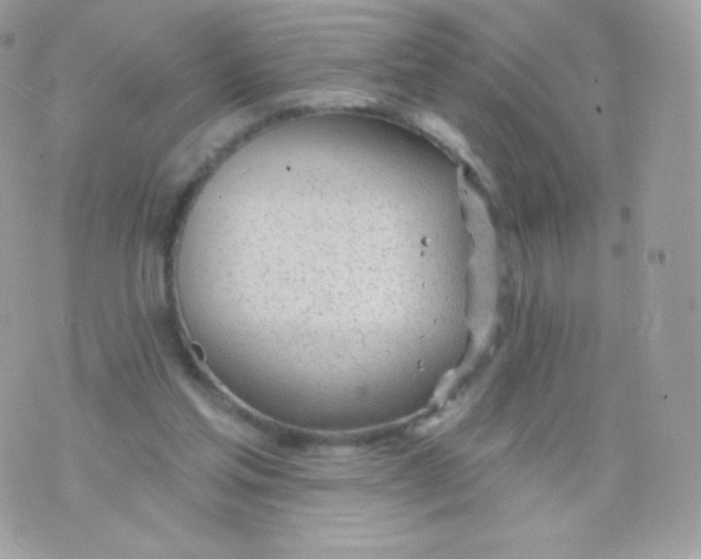 X0000074960205200609291921