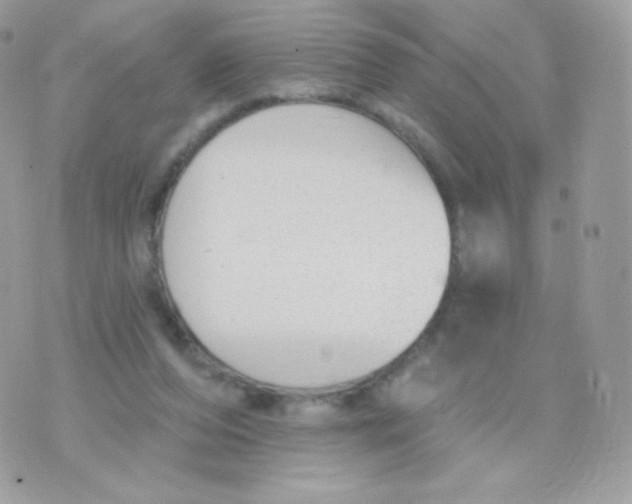 X0000074960208200609291921