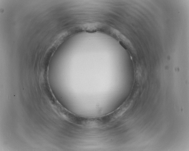 X0000074960209200609291921