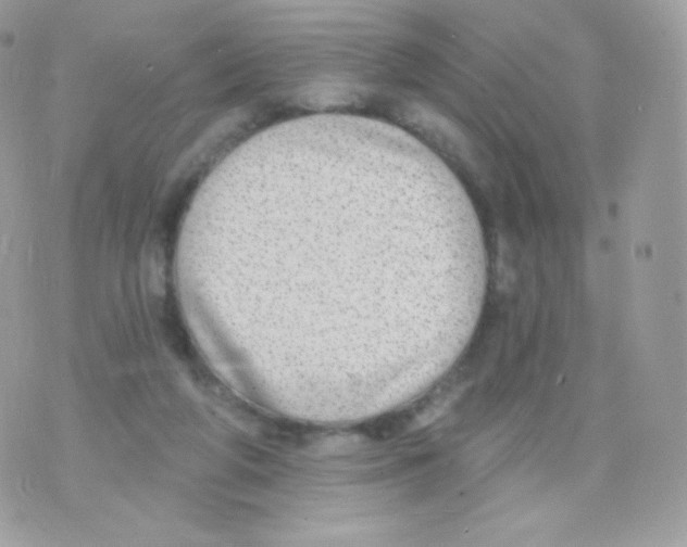 X0000074960210200609291921