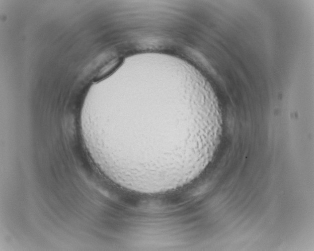 X0000074960211200609291921