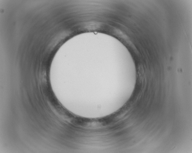 X0000074960212200609291921