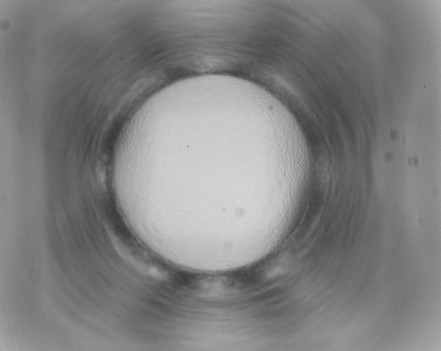 X0000074960214200609291921