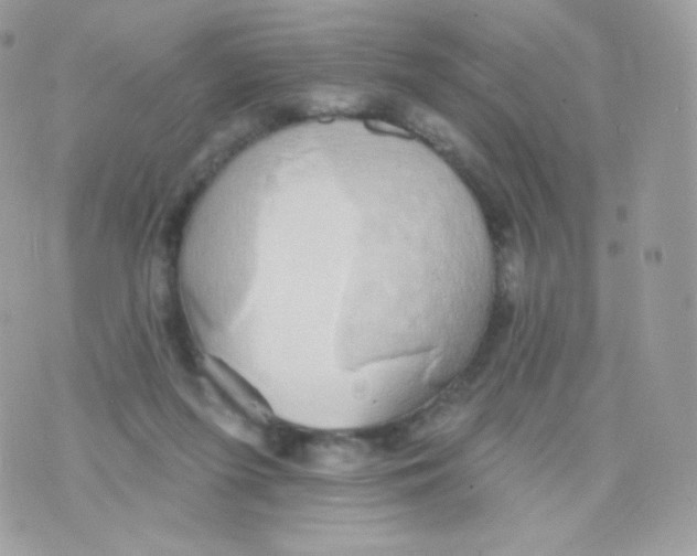 X0000074960215200609291921