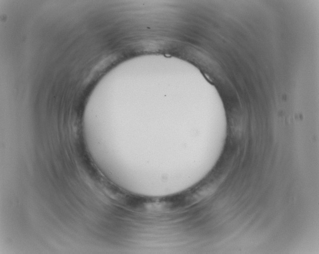 X0000074960216200609291921