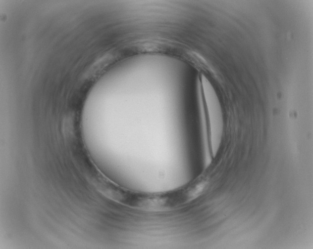 X0000074960217200609291921