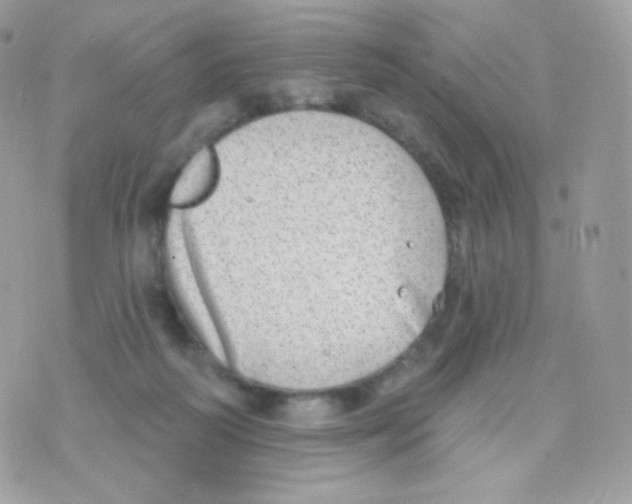 X0000074960218200609291921