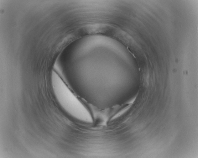 X0000074960219200609291921