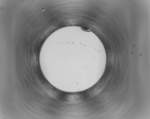 X0000074960220200609291921