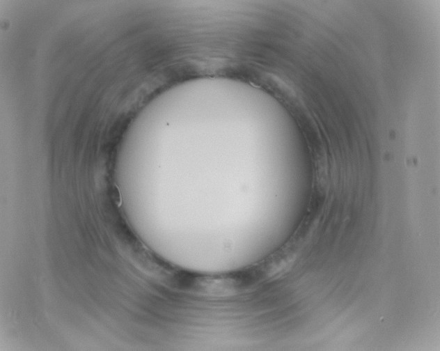 X0000074960221200609291921