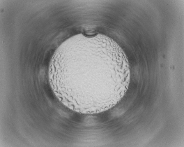 X0000074960222200609291921