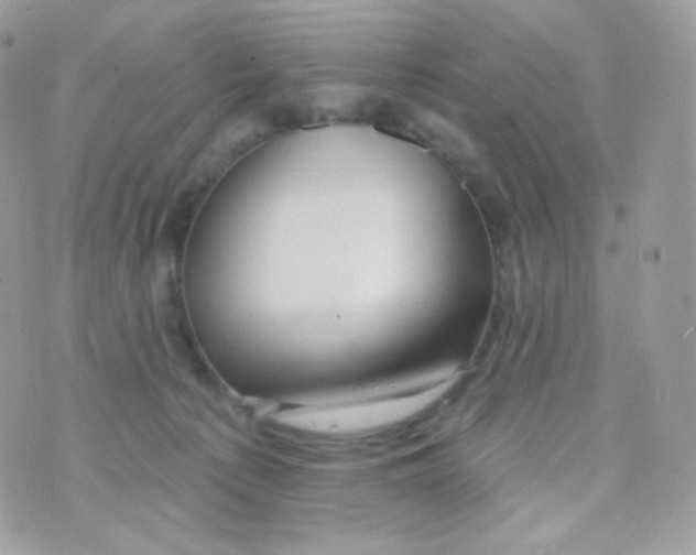 X0000074960225200609291921