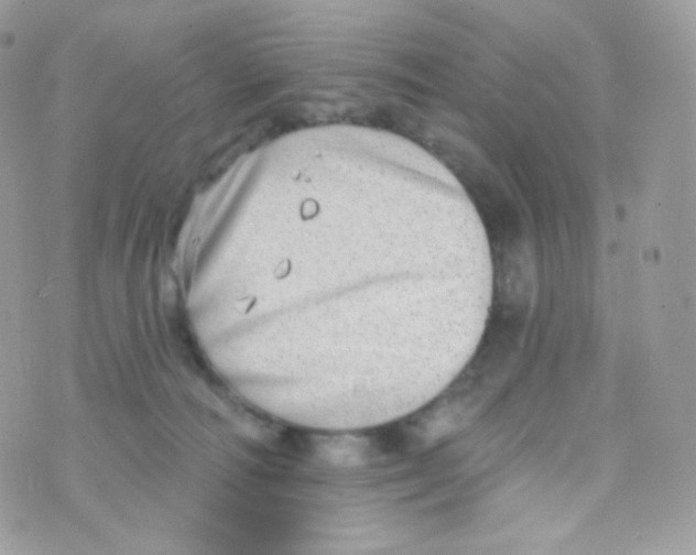 X0000074960226200609291921