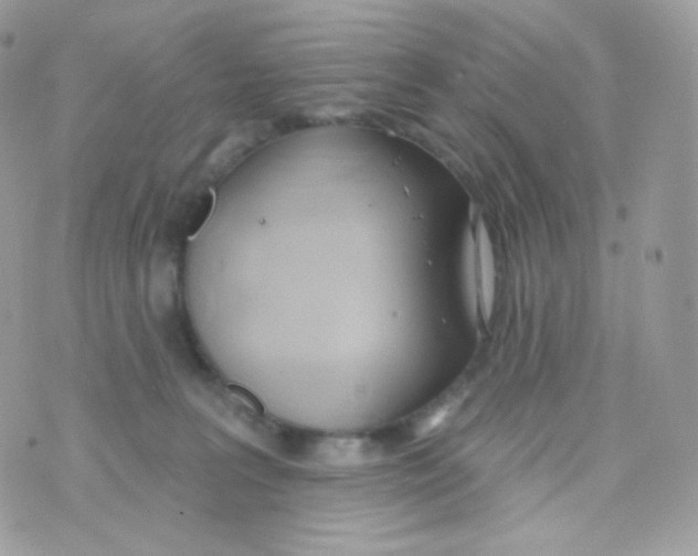 X0000074960227200609291921