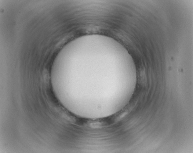 X0000074960228200609291921