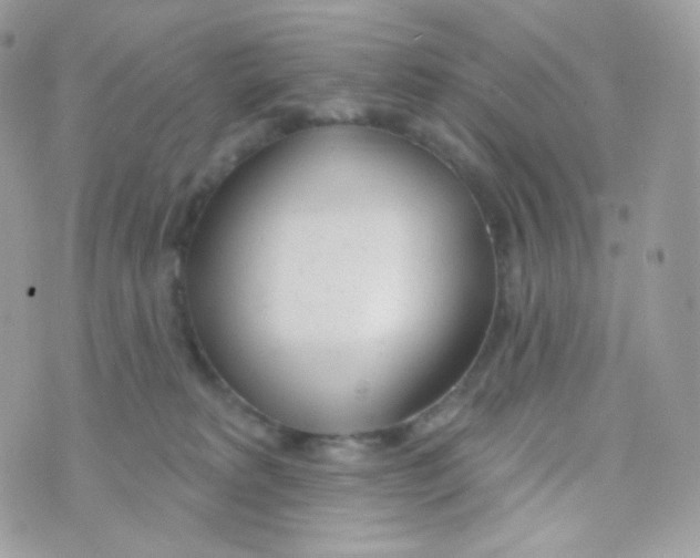 X0000074960229200609291921