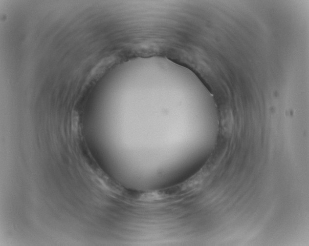 X0000074960231200609291921