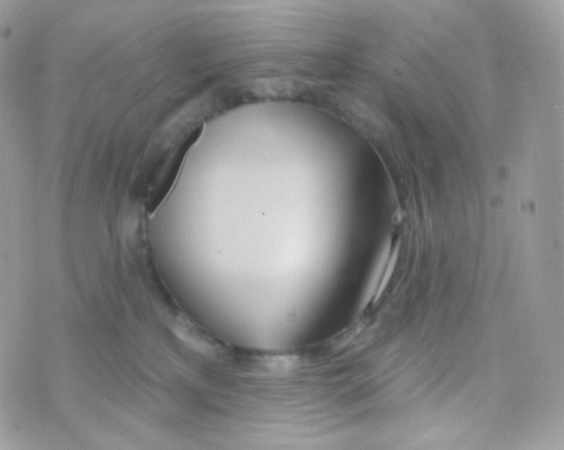 X0000074960233200609291921