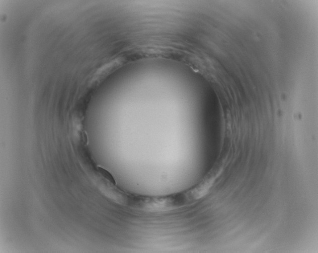 X0000074960235200609291921