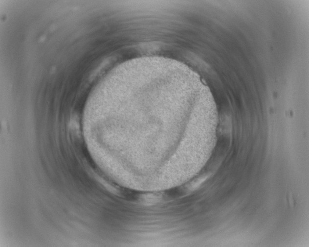 X0000074960238200609291921