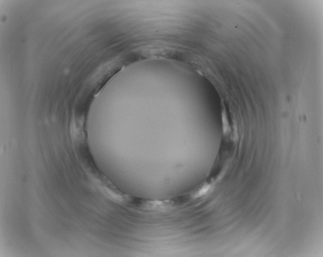 X0000074960239200609291920