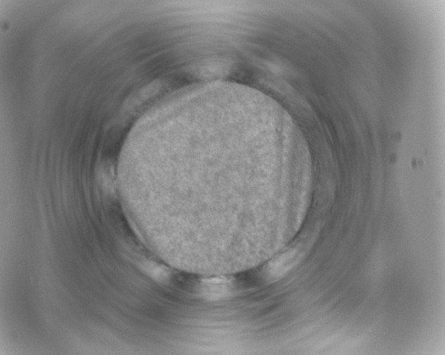 X0000074960240200609291920