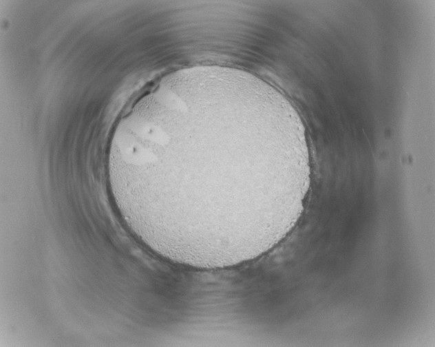 X0000074960241200609291920