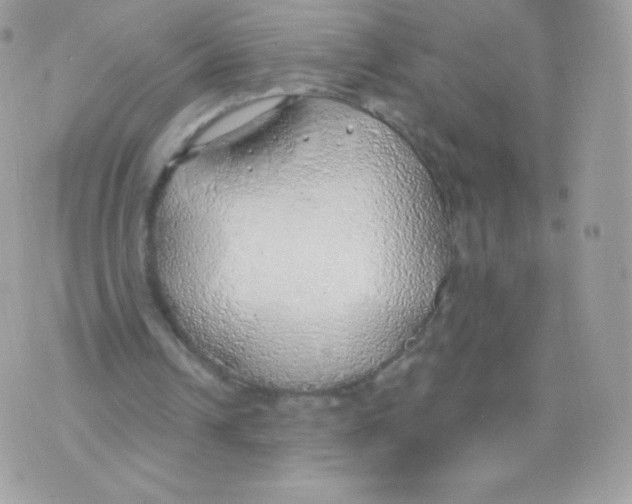 X0000074960242200609291920