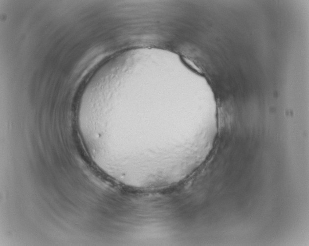 X0000074960243200609291920