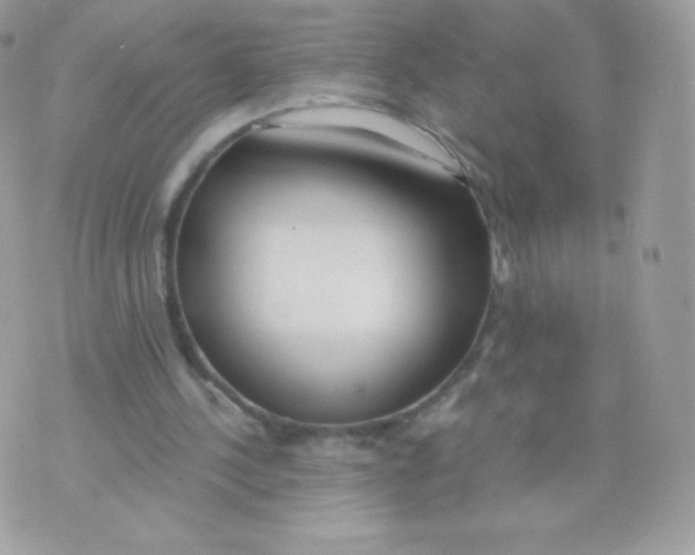 X0000074960244200609291920