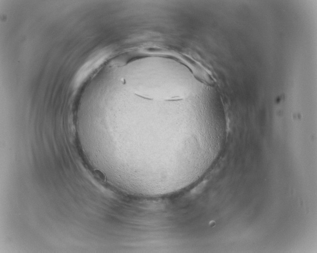 X0000074960245200609291920