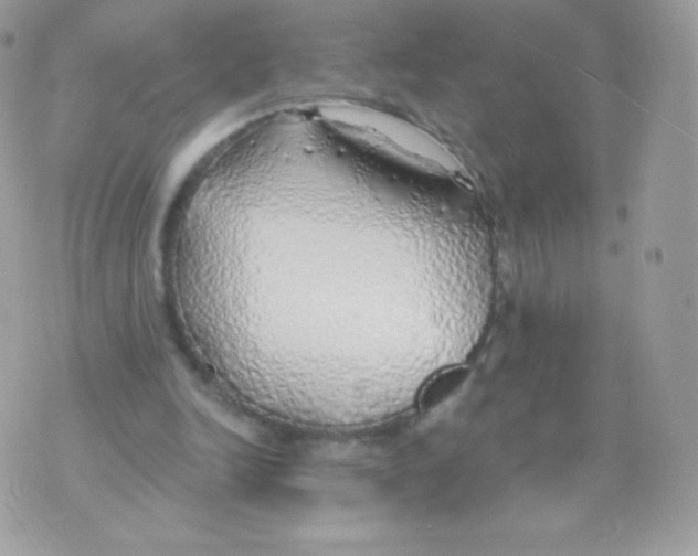 X0000074960246200609291920