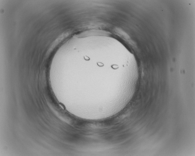 X0000074960250200609291920