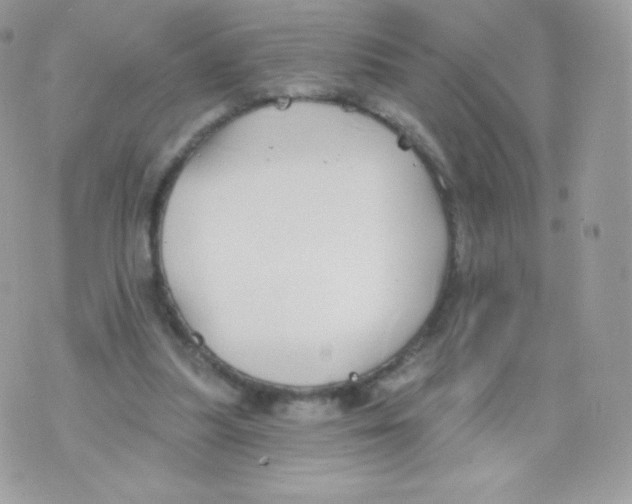 X0000074960251200609291920