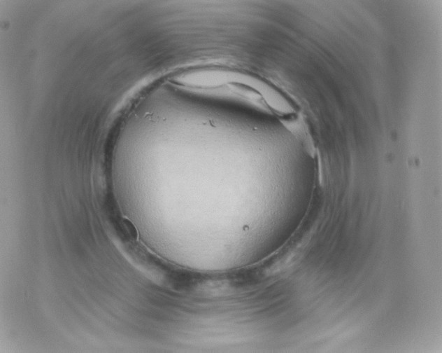 X0000074960252200609291920