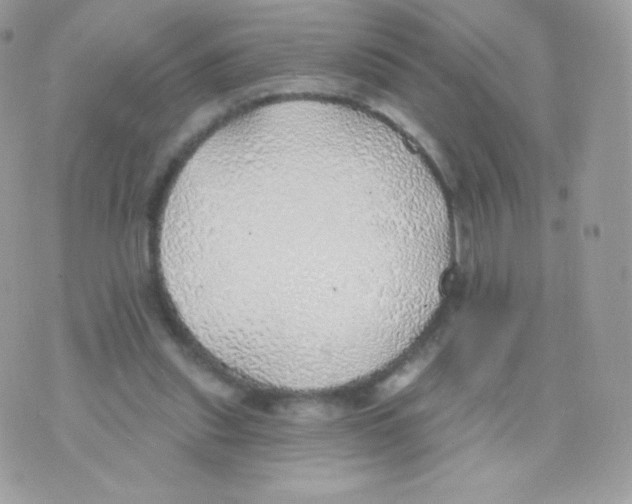 X0000074960253200609291920