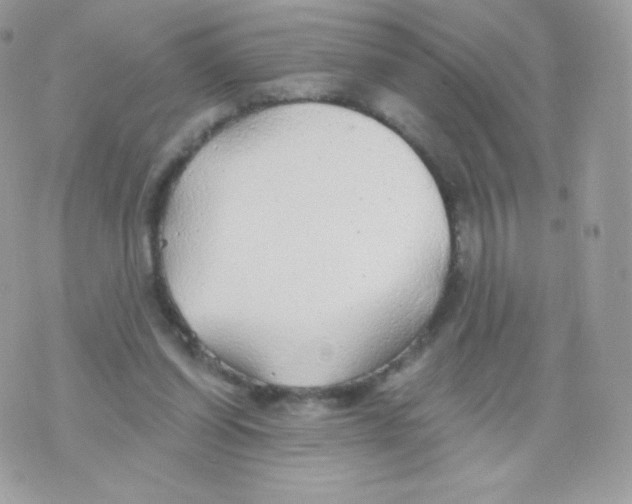 X0000074960254200609291920