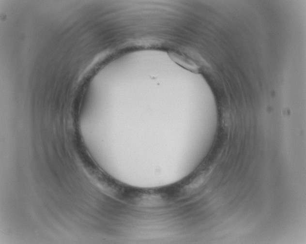 X0000074960256200609291920