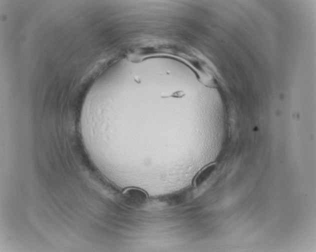 X0000074960257200609291920