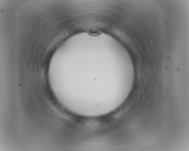 X0000074960258200609291920