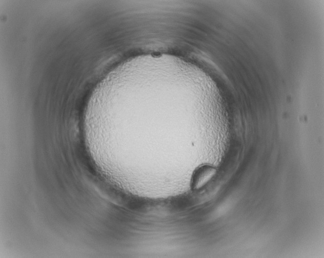 X0000074960259200609291920