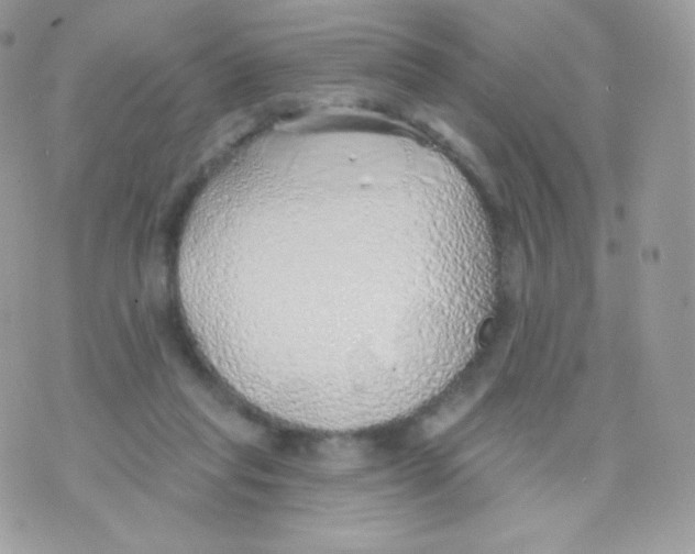 X0000074960261200609291920