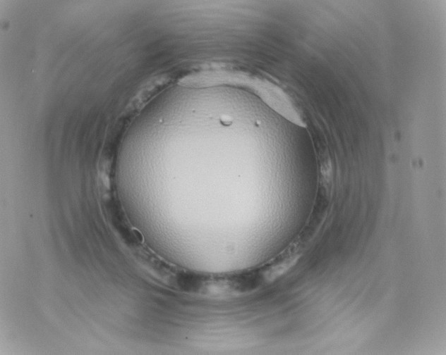 X0000074960264200609291920