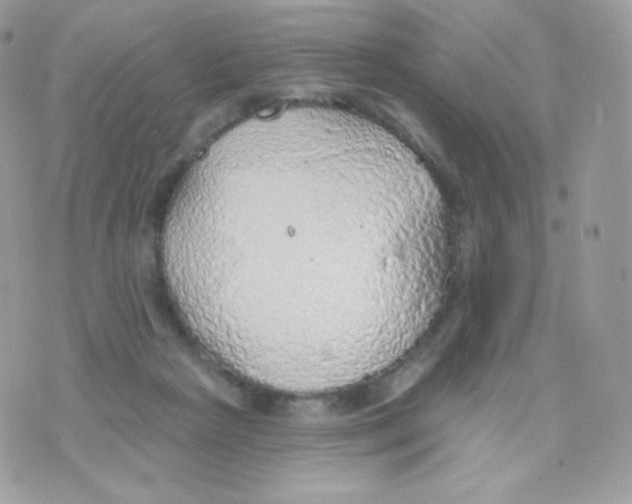 X0000074960265200609291920