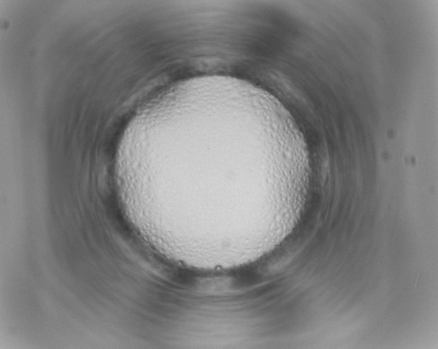 X0000074960266200609291920