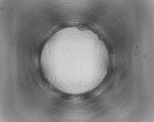 X0000074960267200609291920